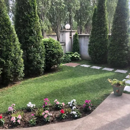 Dunja * Novi Sad
