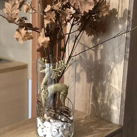 Daire Dunja Novi Sad